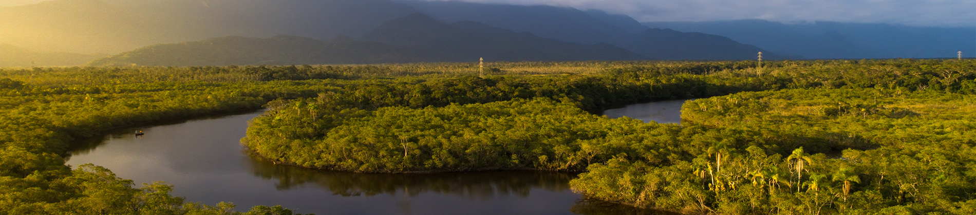 Ambiental & Sustentabilidade