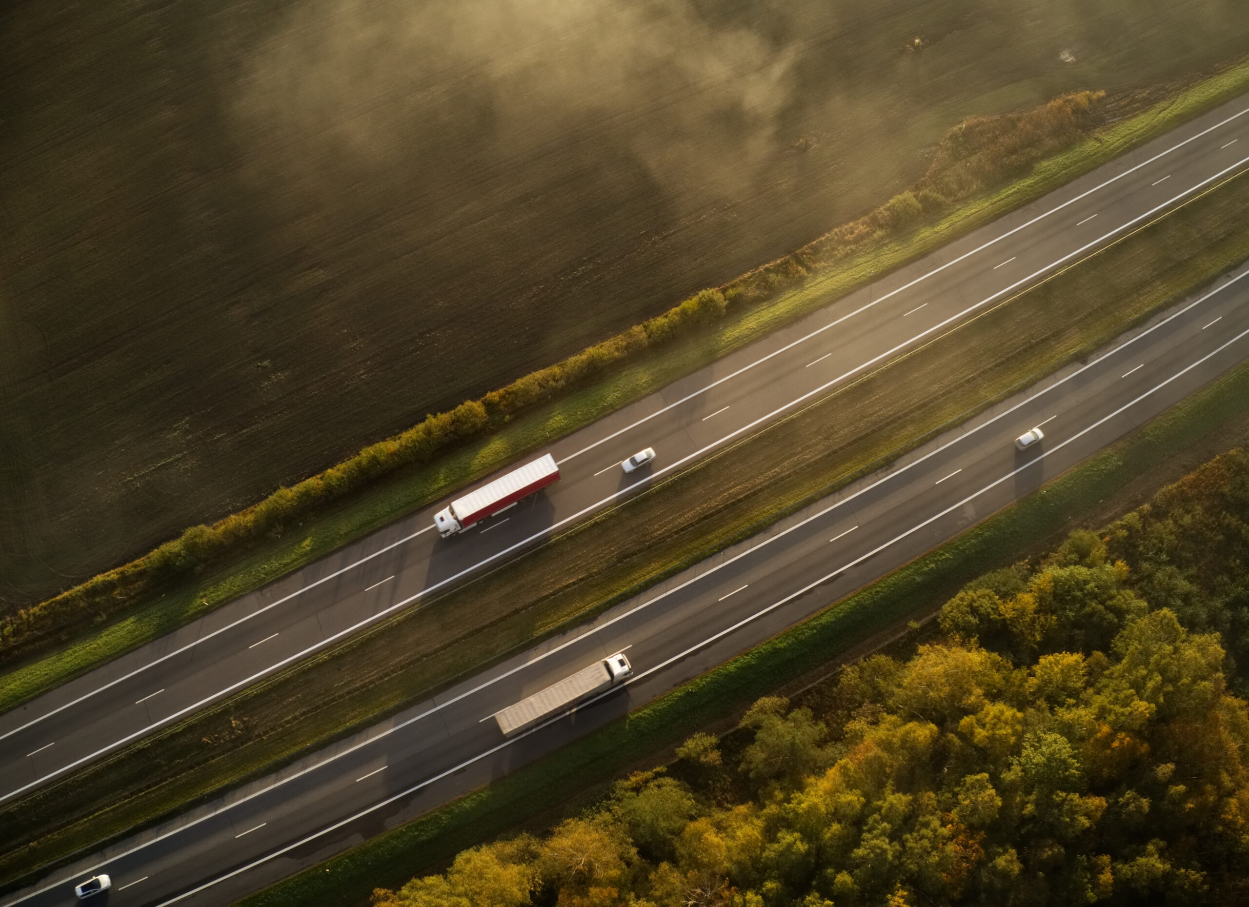 Portaria PR/DER-053/2025 regulamenta o uso das faixas de domínio das rodovias em São Paulo para fins agrícolas